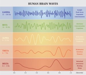 Sleep Stages